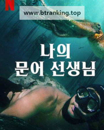 나의 문어 선생님 My Octopus Teacher ,2020.1080p.KORSUB.WEBRip.H264.AAC